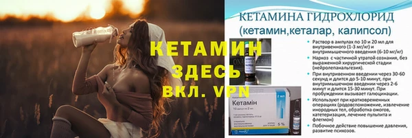 индика Верхний Тагил