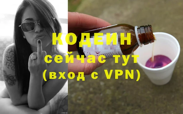 СК Тавда
