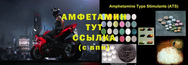 индика Верхний Тагил