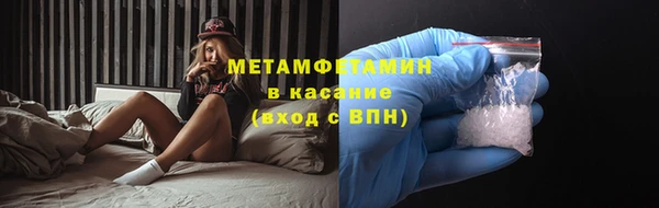 индика Верхний Тагил