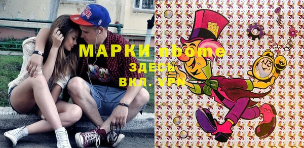 индика Верхний Тагил