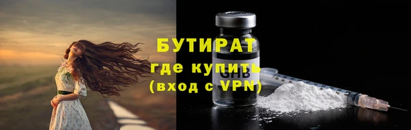 индика Верхний Тагил