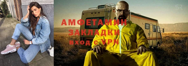 индика Верхний Тагил