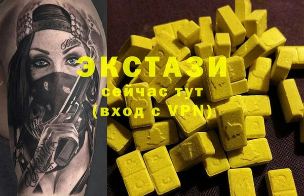 индика Верхний Тагил