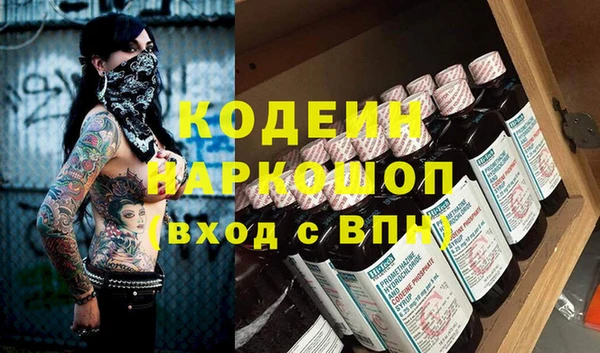 индика Верхний Тагил