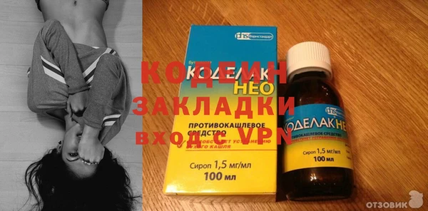 индика Верхний Тагил