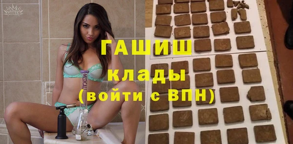 индика Верхний Тагил