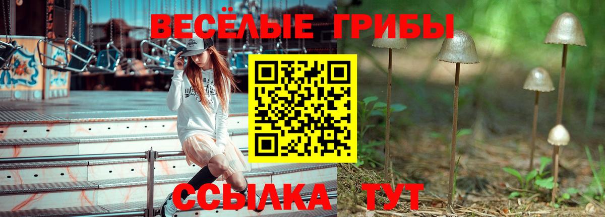 Псилоцибиновые грибы MAGIC MUSHROOMS Можайск