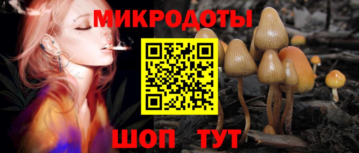 Галлюциногенные грибы Cubensis  Вход с VPN  Можайск  Галлюциногенные грибы Cubensis 